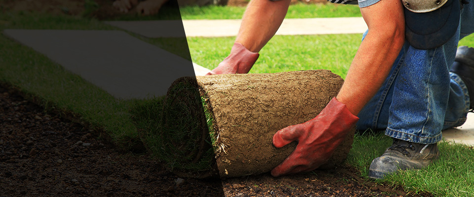 Hammond Landscapers